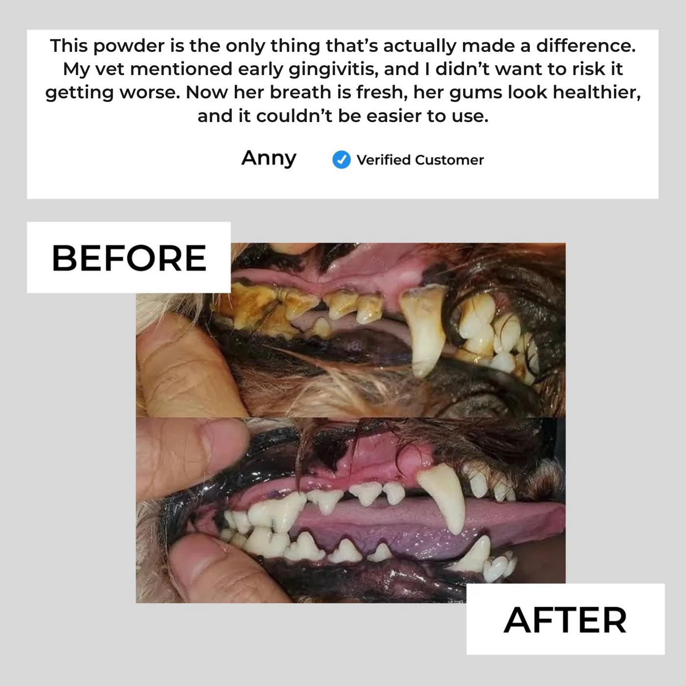 Pawthology Dog teeth cleaning powder