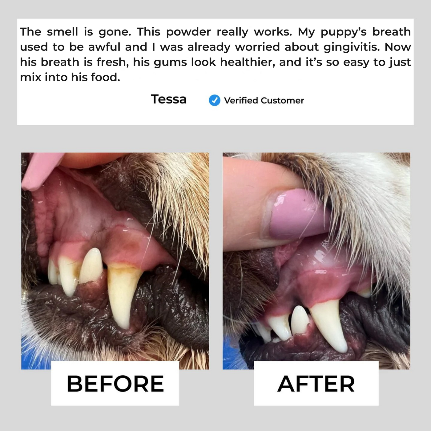 Pawthology Dog teeth cleaning powder