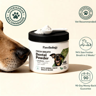Pawthology Dog teeth cleaning powder