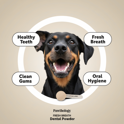 Pawthology Dog teeth cleaning powder