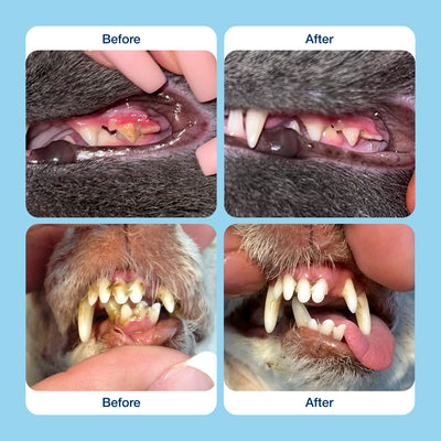 Pawthology Dog teeth cleaning powder